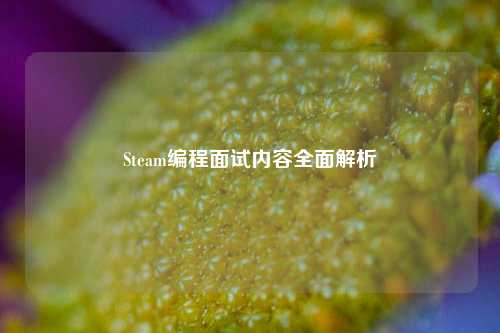 Steam编程面试内容全面解析