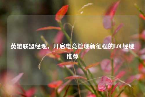 英雄联盟经理，开启电竞管理新征程的LOL经理推荐