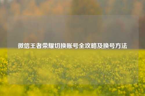 微信王者荣耀切换账号全攻略及换号方法
