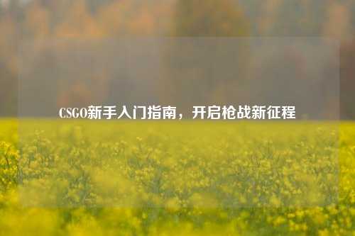CSGO新手入门指南，开启枪战新征程