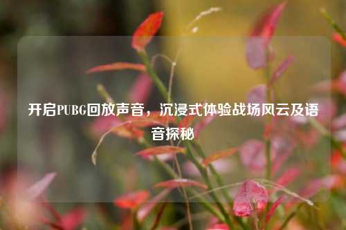开启PUBG回放声音，沉浸式体验战场风云及语音探秘