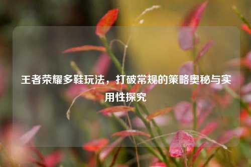 王者荣耀多鞋玩法，打破常规的策略奥秘与实用性探究