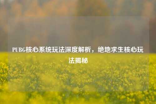 PUBG核心系统玩法深度解析，绝地求生核心玩法揭秘