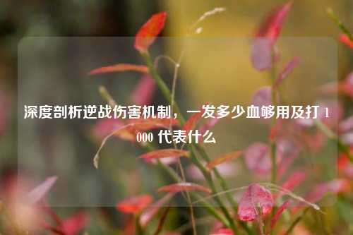 深度剖析逆战伤害机制,一发多少血够用及打 1000 代表什么
