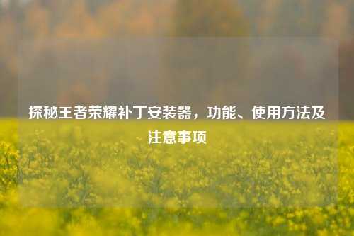 探秘王者荣耀补丁安装器，功能、使用方法及注意事项