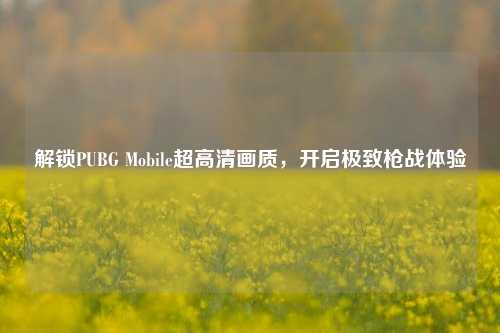 解锁PUBG Mobile超高清画质,开启极致枪战体验