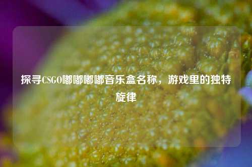 探寻CSGO嘟嘟嘟嘟音乐盒名称，游戏里的独特旋律