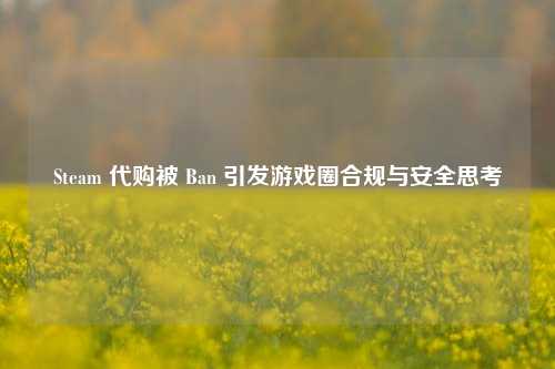 Steam 代购被 Ban 引发游戏圈合规与安全思考