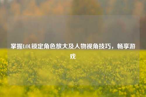 掌握LOL锁定角色放大及人物视角技巧,畅享游戏
