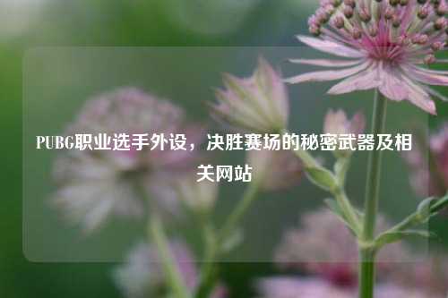 PUBG职业选手外设,决胜赛场的秘密武器及相关网站