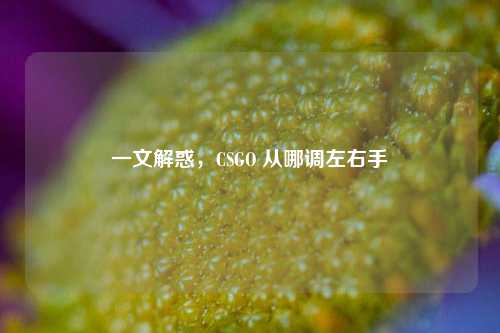 一文解惑，CSGO 从哪调左右手