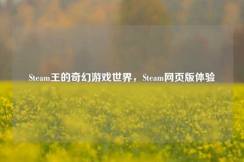 Steam王的奇幻游戏世界，Steam网页版体验