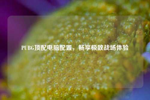 PUBG顶配电脑配置，畅享极致战场体验
