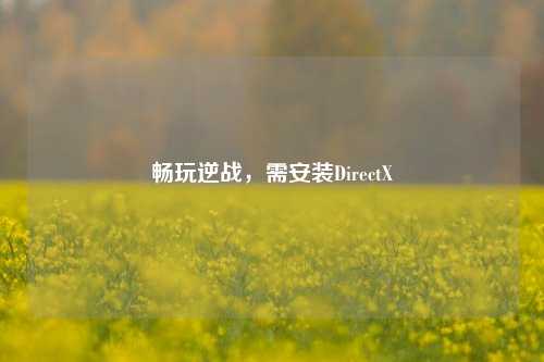 畅玩逆战，需安装DirectX
