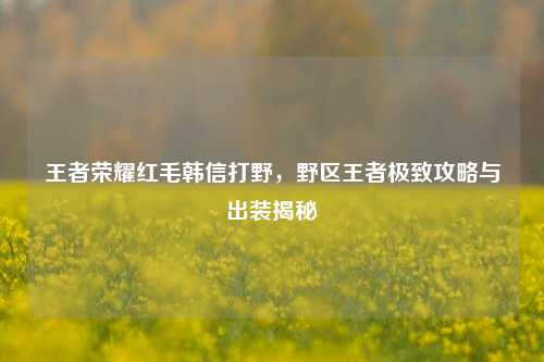 王者荣耀红毛韩信打野,野区王者极致攻略与出装揭秘