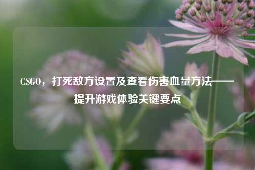 CSGO,打死敌方设置及查看伤害血量方法——提升游戏体验关键要点