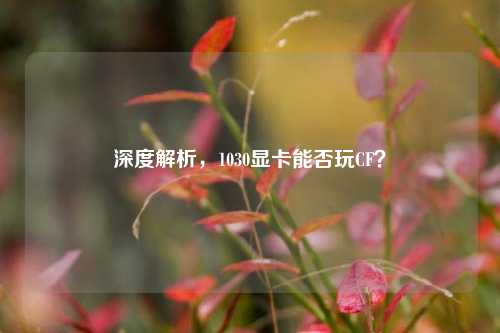 深度解析，1030显卡能否玩CF？