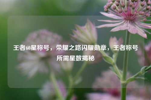 王者60星称号，荣耀之路闪耀勋章，王者称号所需星数揭秘