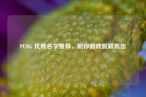 PUBG 优质名字推荐，助你游戏脱颖而出