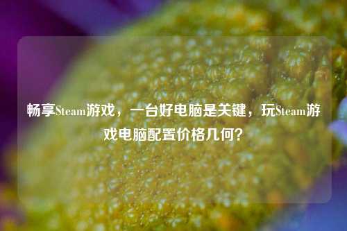 畅享Steam游戏，一台好电脑是关键，玩Steam游戏电脑配置价格几何？