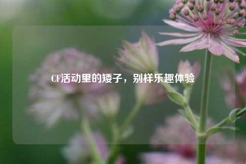 CF活动里的矮子，别样乐趣体验