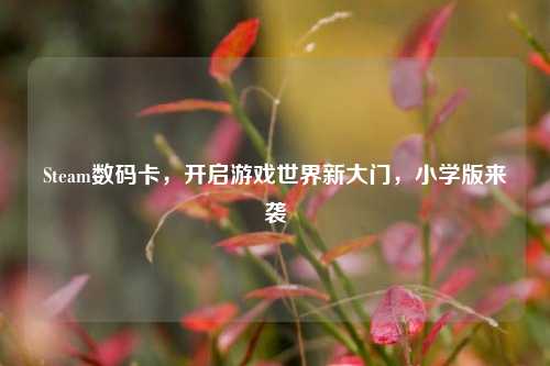 Steam数码卡，开启游戏世界新大门，小学版来袭