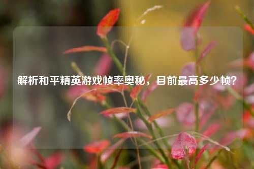 解析和平精英游戏帧率奥秘,目前最高多少帧?