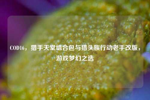 COD16，猎手天堂组合包与猎头族行动老手改版，游戏梦幻之选