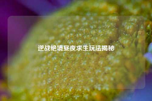 逆战绝境昼夜求生玩法揭秘
