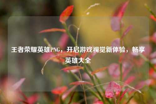 王者荣耀英雄PNG，开启游戏视觉新体验，畅享英雄大全