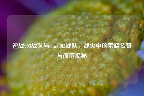 逆战903战队与class302战队，战火中的荣耀传奇与简历揭秘