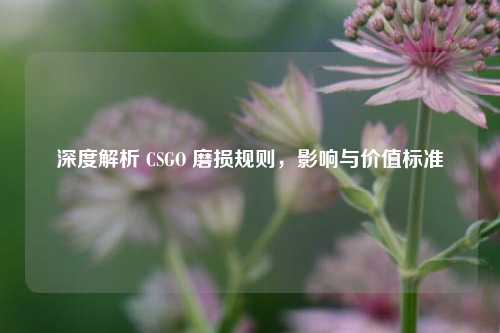 深度解析 CSGO 磨损规则，影响与价值标准