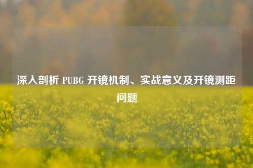 深入剖析 PUBG 开镜机制、实战意义及开镜测距问题