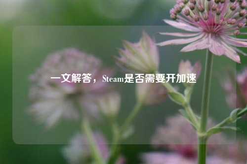 一文解答，Steam是否需要开加速