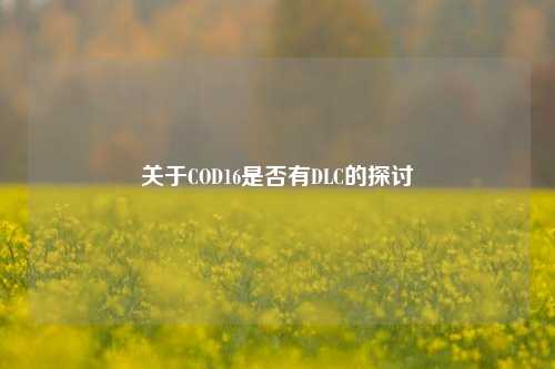 关于COD16是否有DLC的探讨