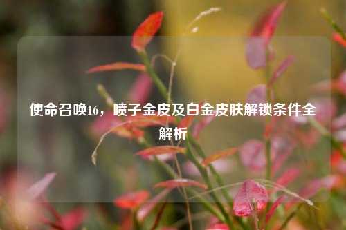 使命召唤16,喷子金皮及白金皮肤解锁条件全解析