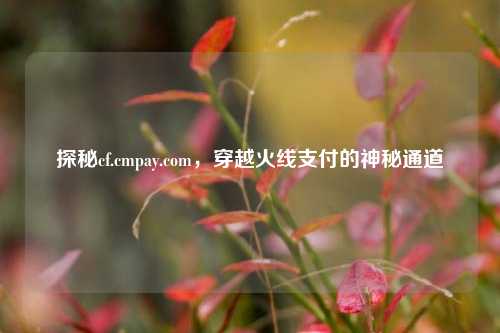 探秘cf.cmpay.com,穿越火线支付的神秘通道