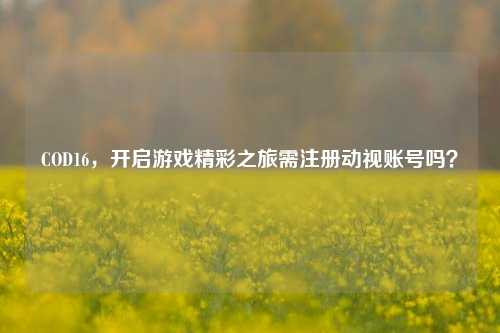 COD16,开启游戏精彩之旅需注册动视账号吗?