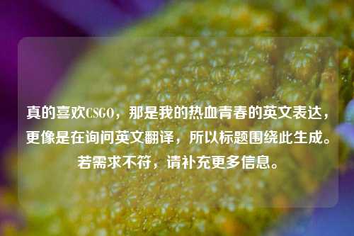 真的喜欢CSGO,那是我的热血青春的英文表达,更像是在询问英文翻译,所以标题围绕此生成。若需求不符,请补充更多信息。