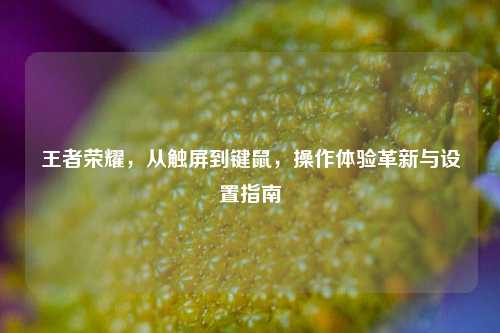 王者荣耀,从触屏到键鼠,操作体验革新与设置指南