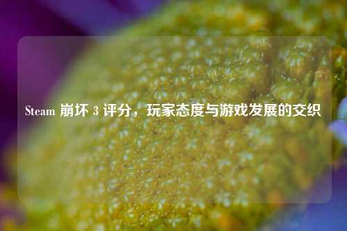 Steam 崩坏 3 评分，玩家态度与游戏发展的交织