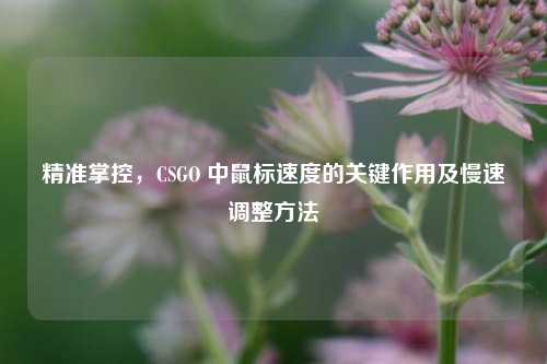 精准掌控，CSGO 中鼠标速度的关键作用及慢速调整方法