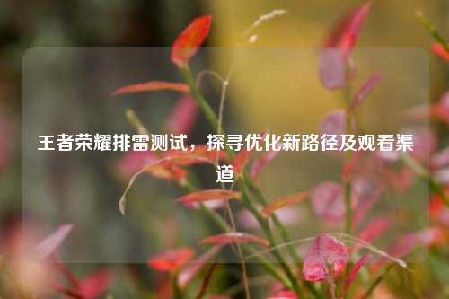 王者荣耀排雷测试,探寻优化新路径及观看渠道