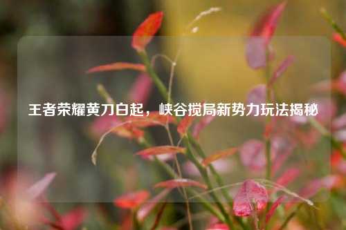 王者荣耀黄刀白起，峡谷搅局新势力玩法揭秘