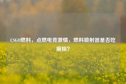 CSGO燃料,点燃电竞激情,燃料喷射器是否吃磨损?