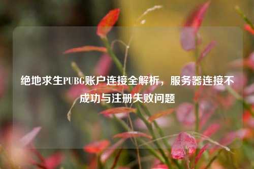 绝地求生PUBG账户连接全解析,服务器连接不成功与注册失败问题