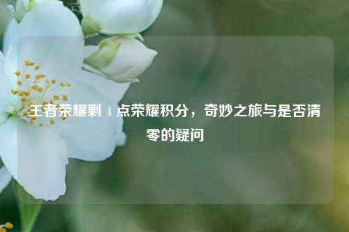 王者荣耀剩 4 点荣耀积分,奇妙之旅与是否清零的疑问