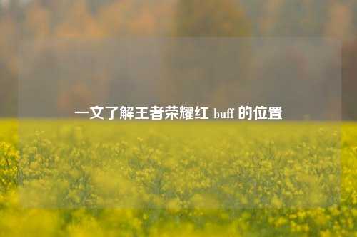 一文了解王者荣耀红 buff 的位置