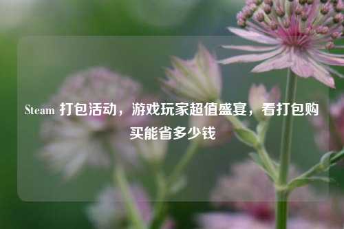 Steam 打包活动,游戏玩家超值盛宴,看打包购买能省多少钱