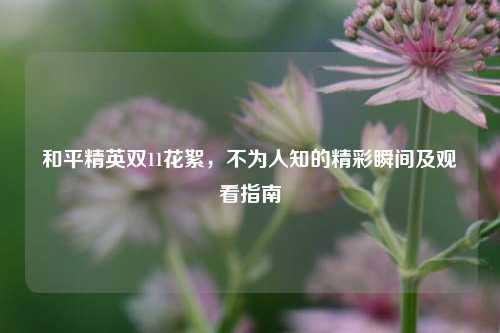 和平精英双11花絮,不为人知的精彩瞬间及观看指南